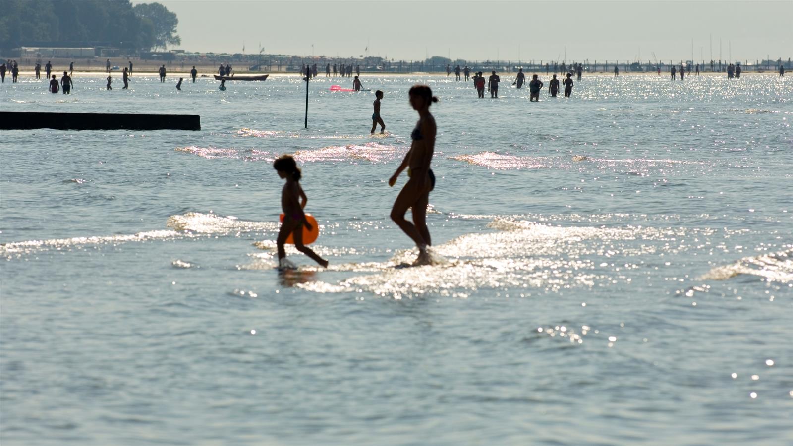 Le 10 Migliori Spiagge Per Cani In Italia Animali