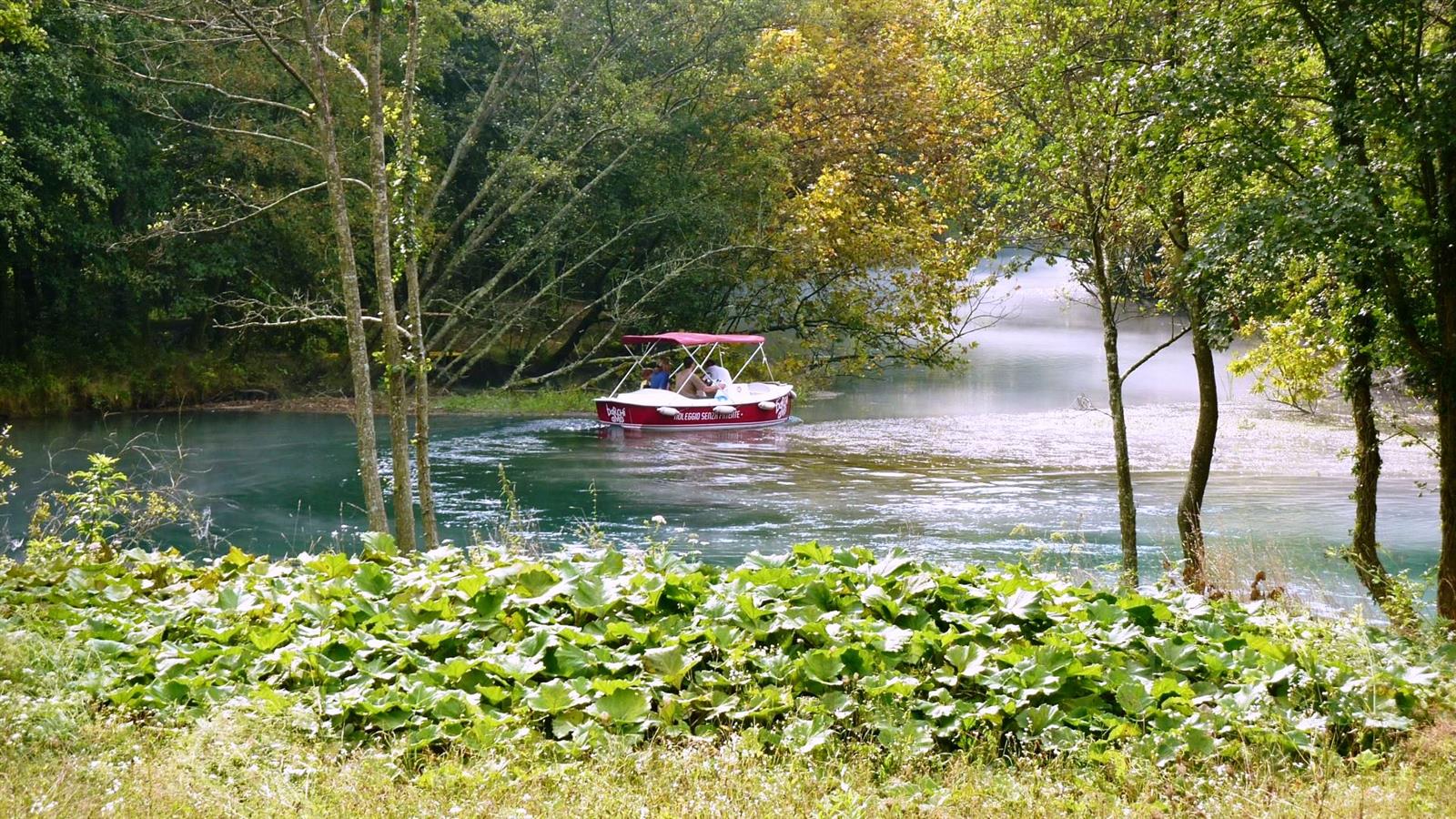 Palù di Livenza