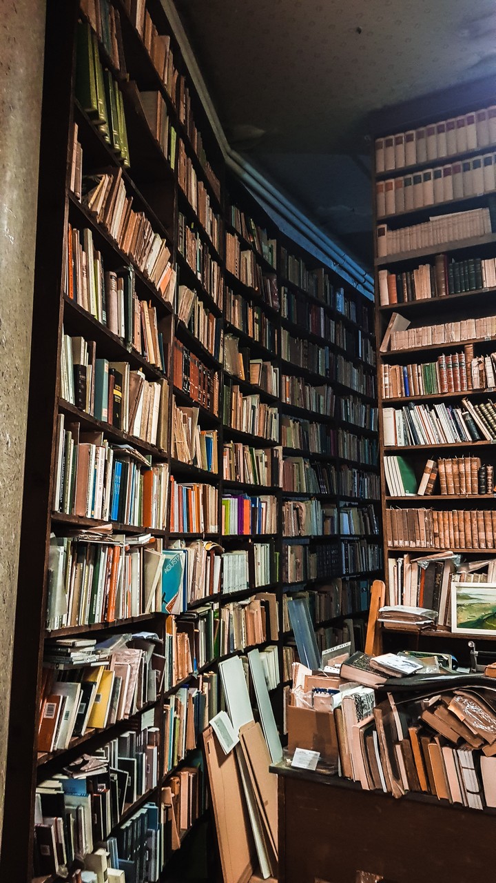 La Libreria di Saba: patrimonio culturale nella città dei talenti letterari