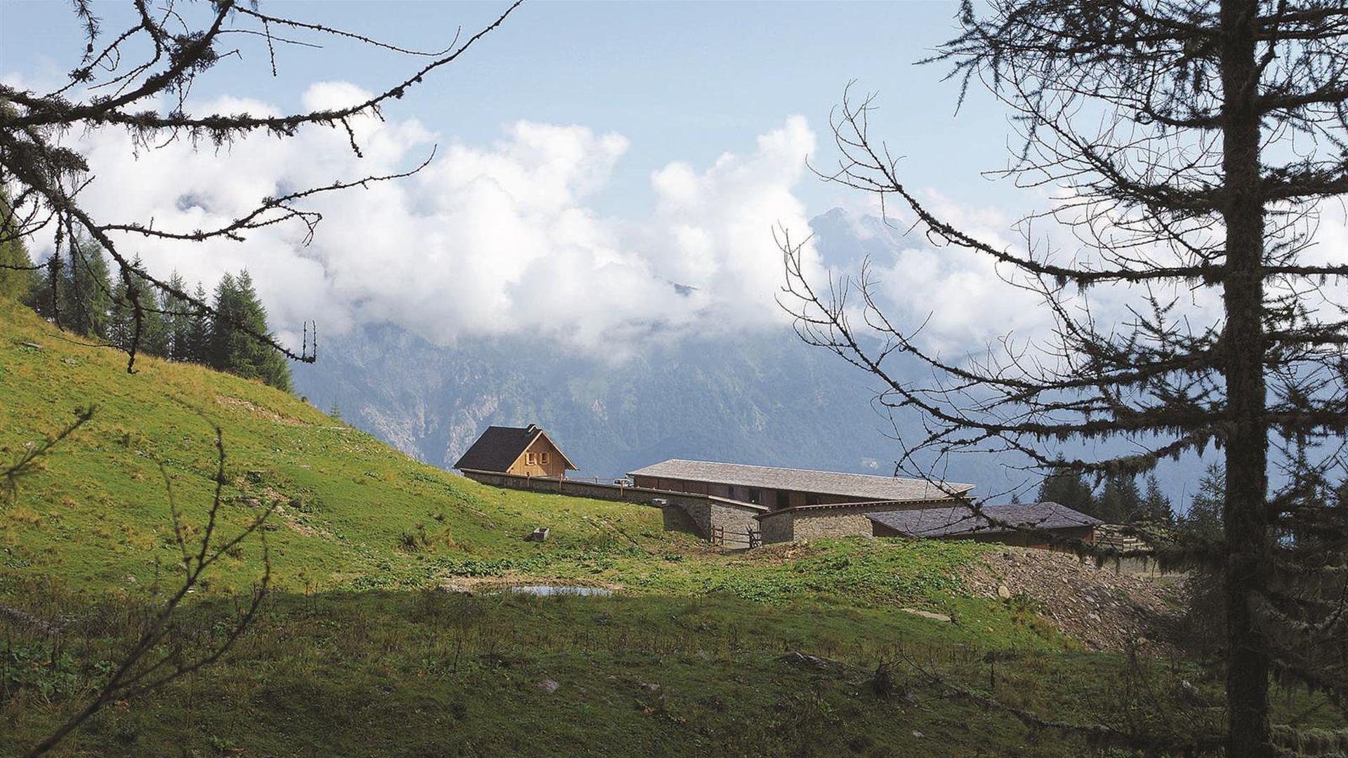 MALGA SAN GIACOMO