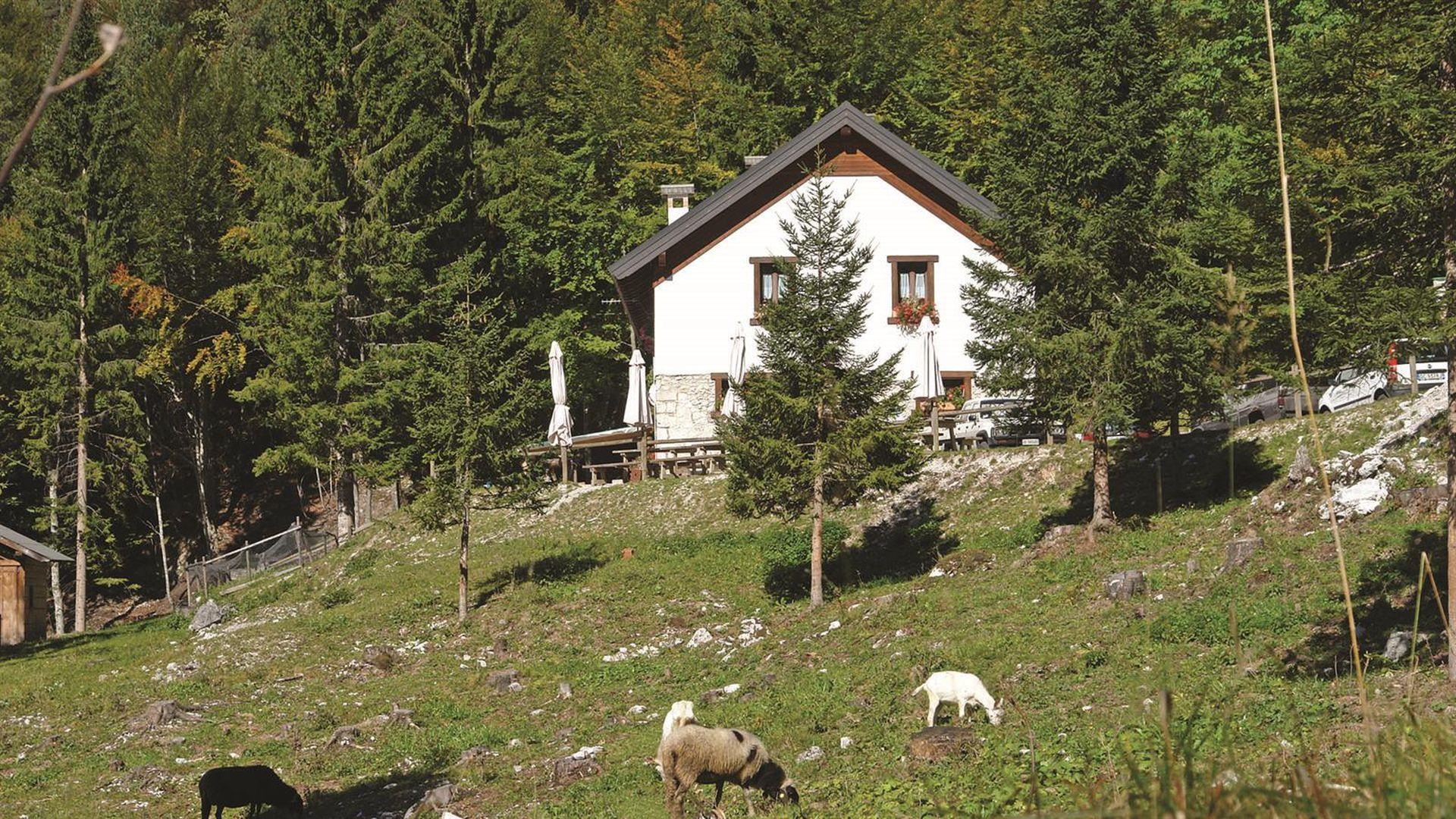 MALGA PLAN DEI SPADOVAI