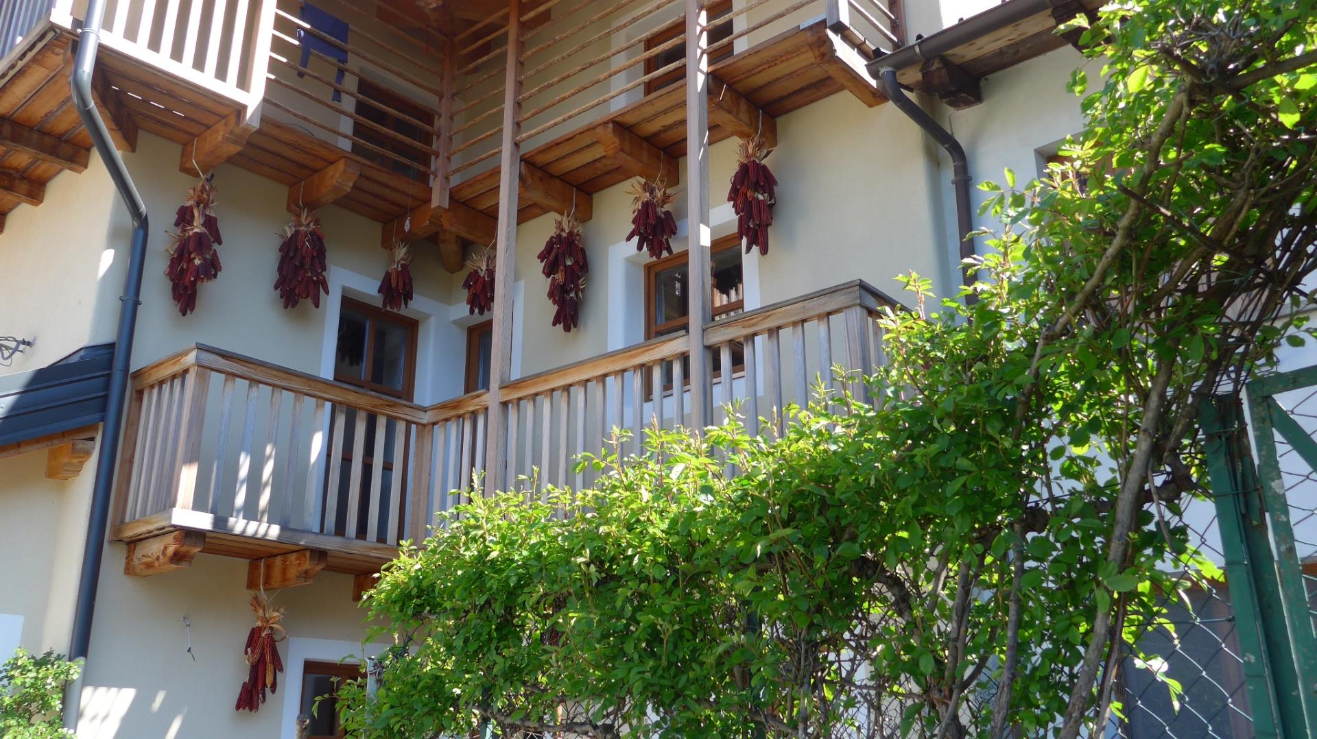 TIERE VIERE - AGRIKULTURALPINA (Agriturismo) - Moggio Udinese