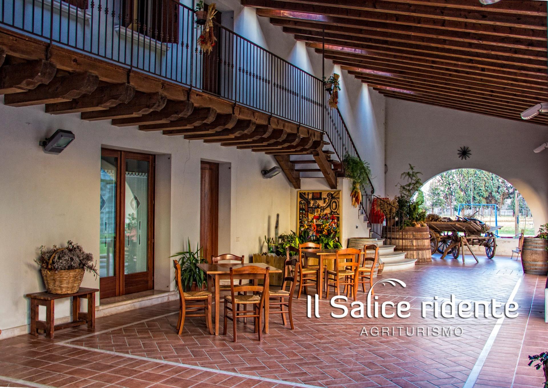 IL SALICE RIDENTE