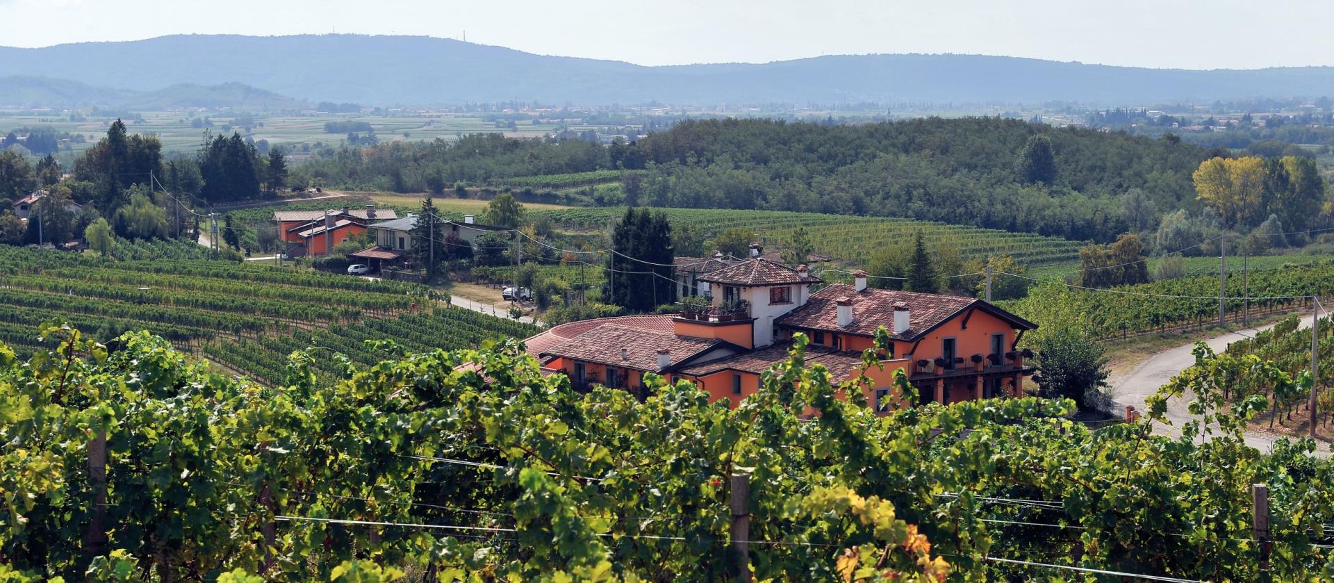 AGRITURISMO PICECH ROBERTO INTERNO