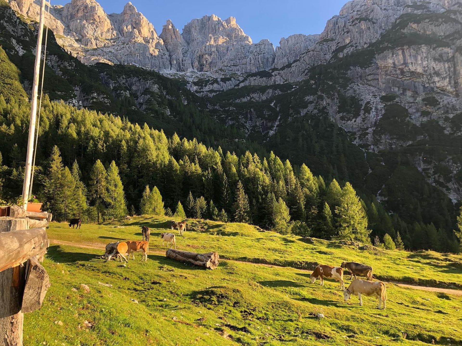 MALGA GRANTAGAR