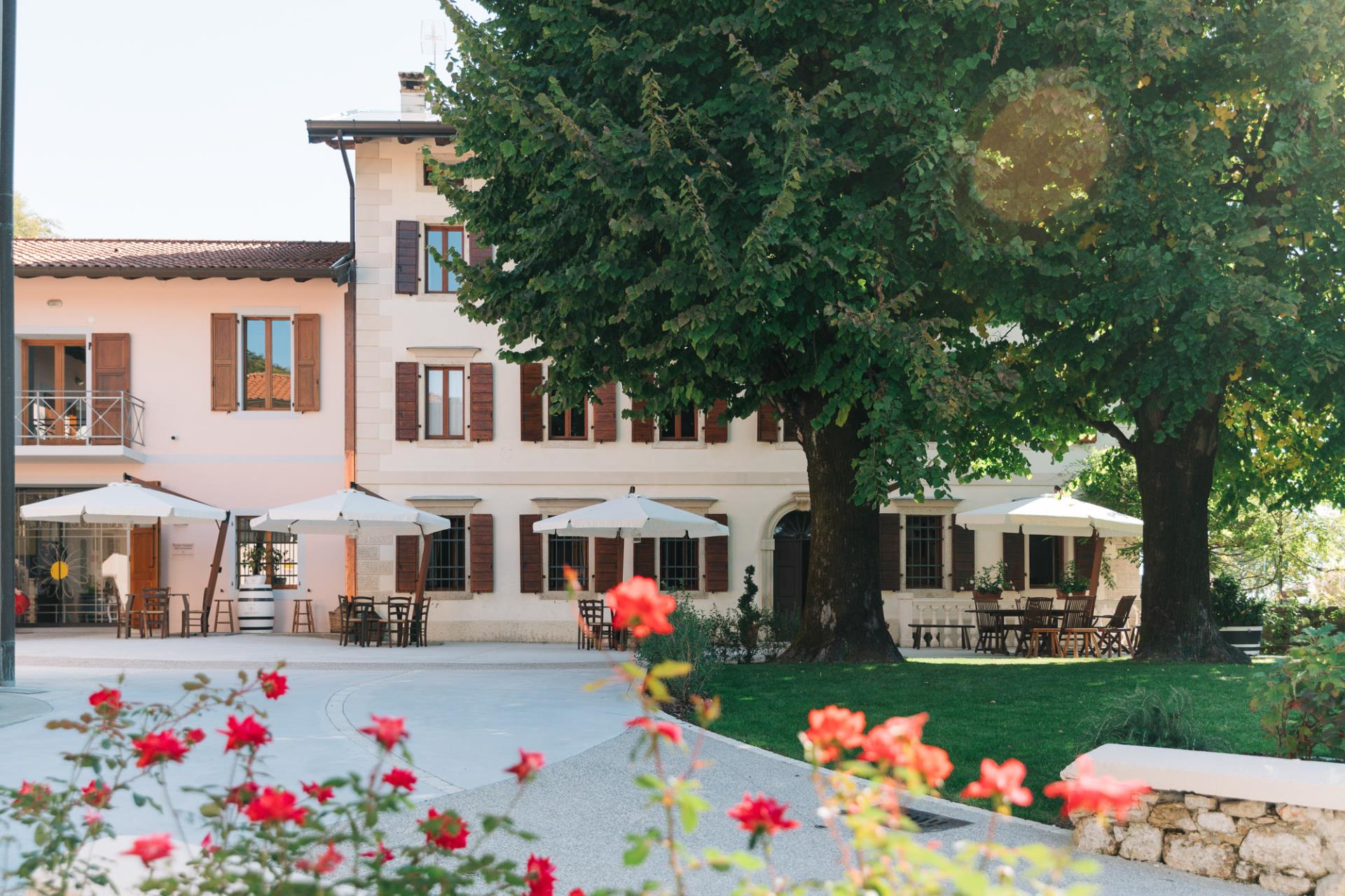 RONCO MARGHERITA (Agriturismo) - Pinzano al Tagliamento