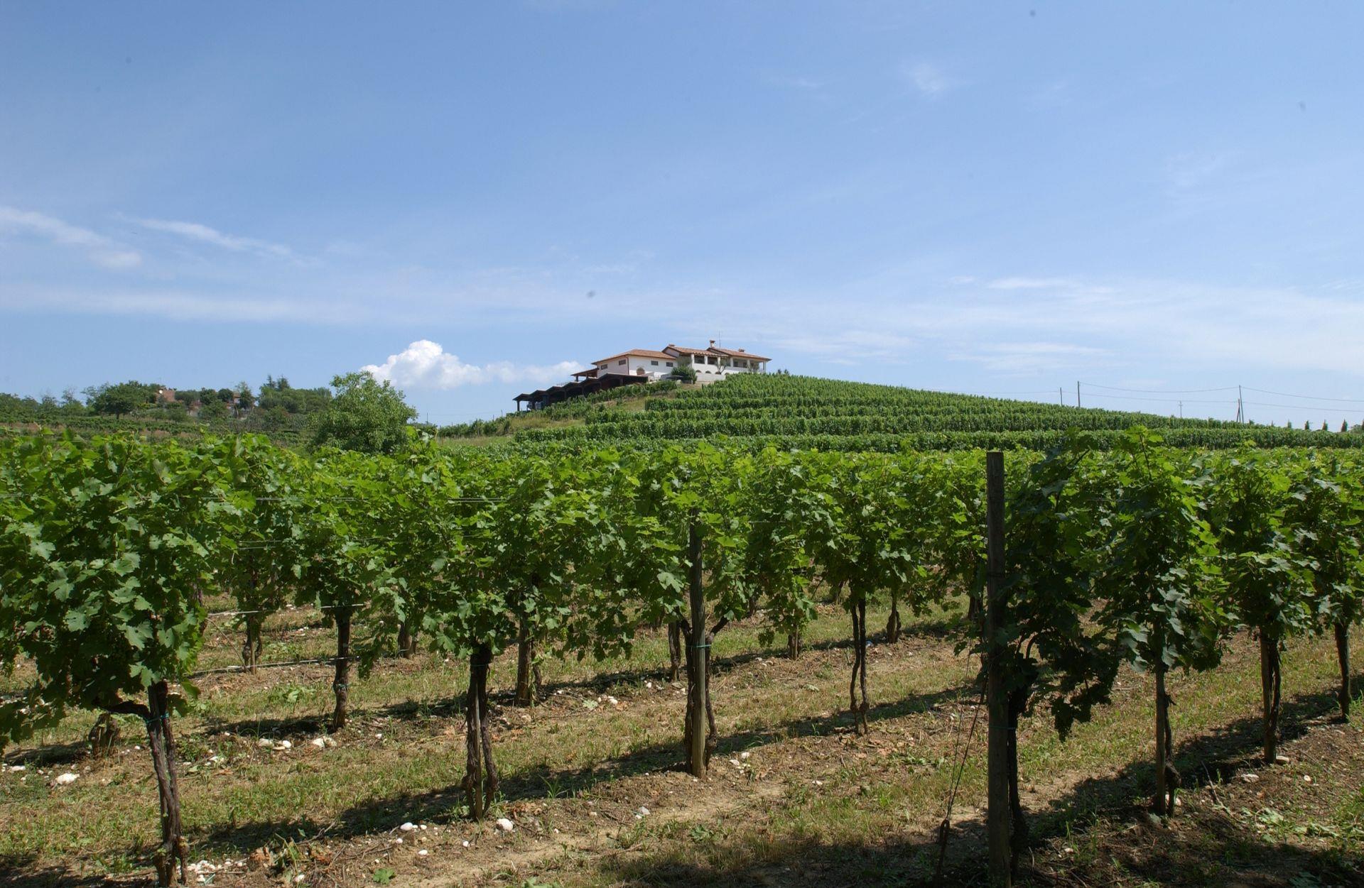 CASA SHANGRI-LA (Agriturismo) - San Giovanni al Natisone