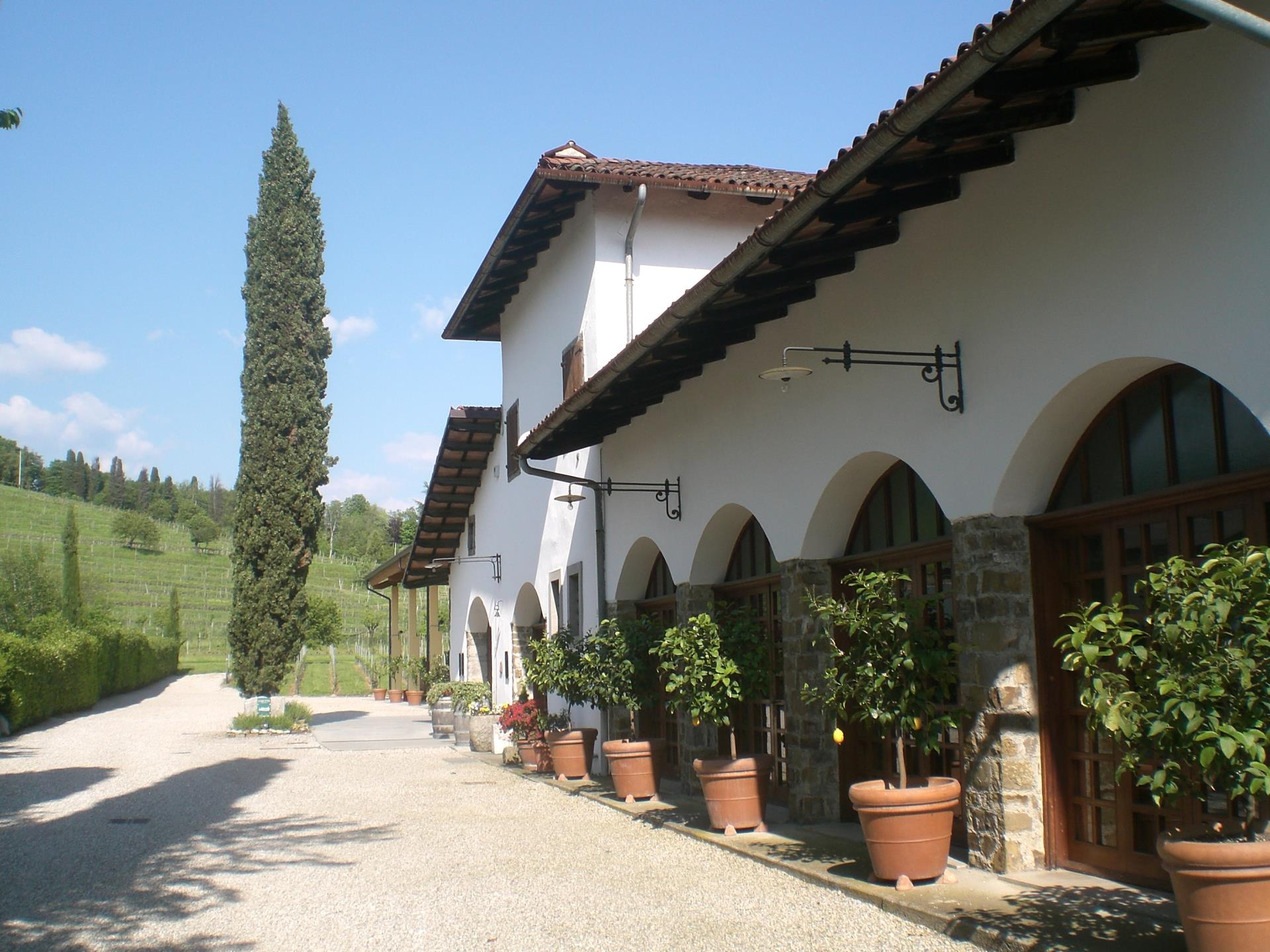 Agriturismo Bandut Manzano Camera