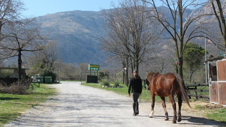 Agriturismo Al Ranch
