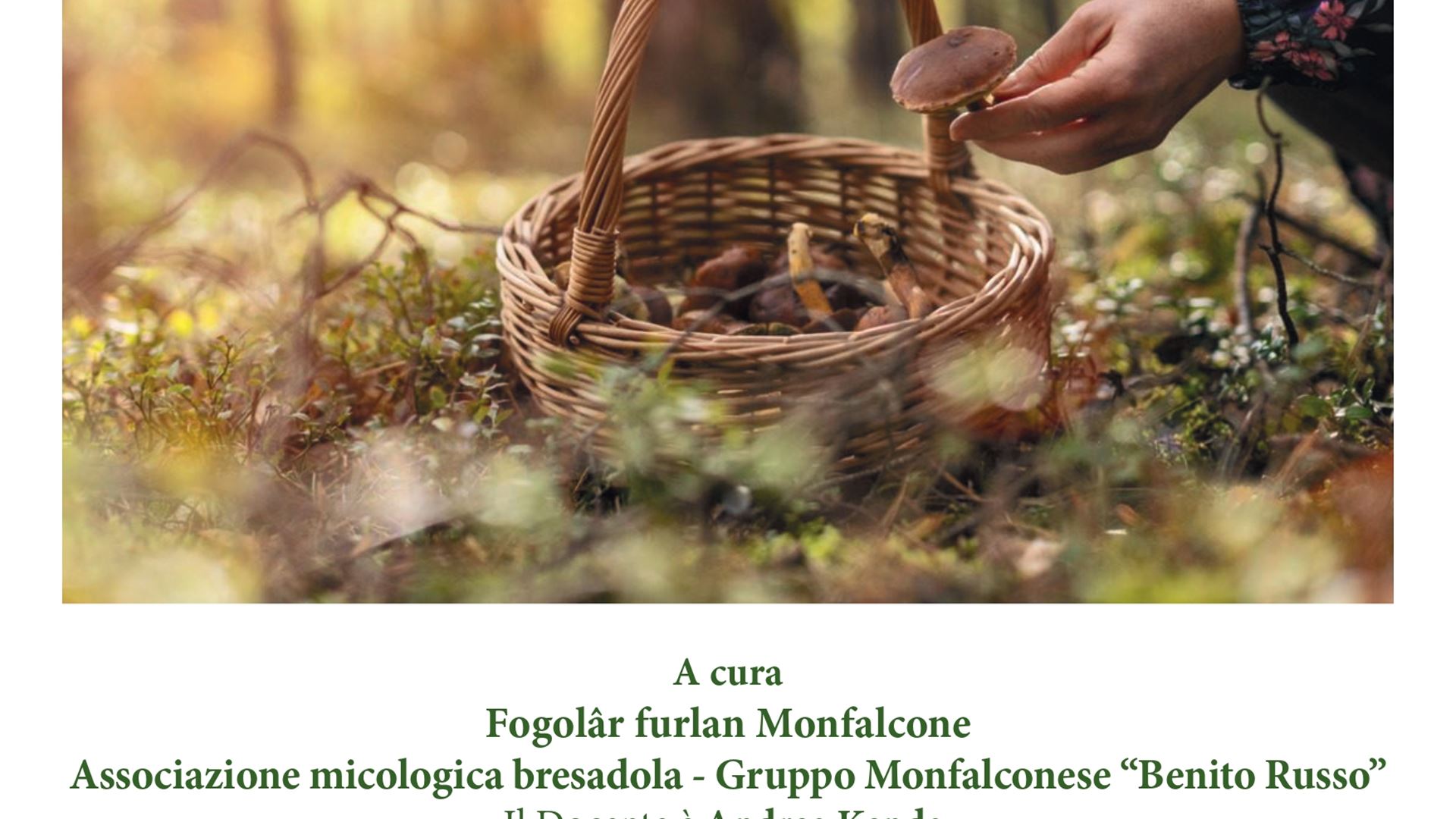 Corso di aggiornamento micologico propedeutico all’acquisizione del patentino