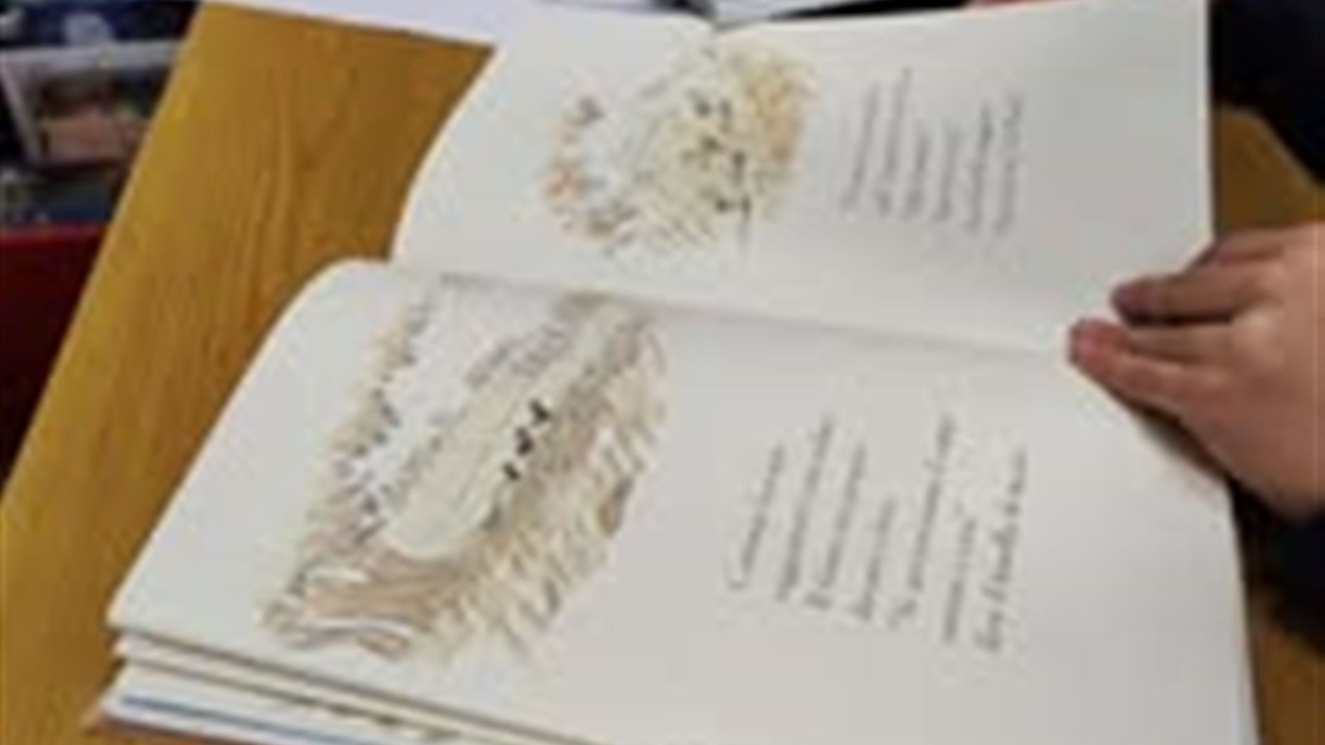 Gruppo "Biblioteca insieme Sajid"