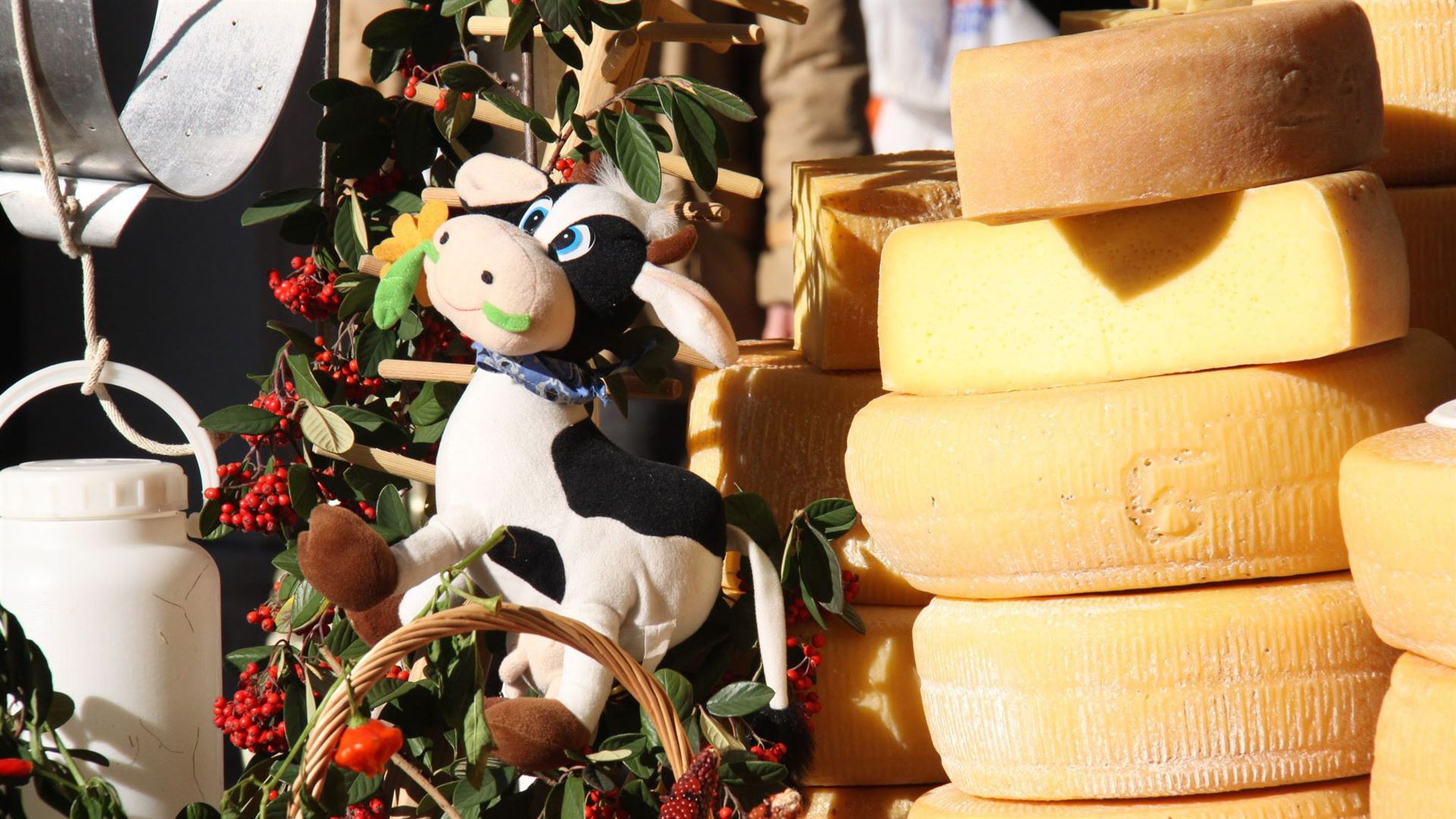 Immagine dell’evento — "Gemona, formaggio... e dintorni" 2026