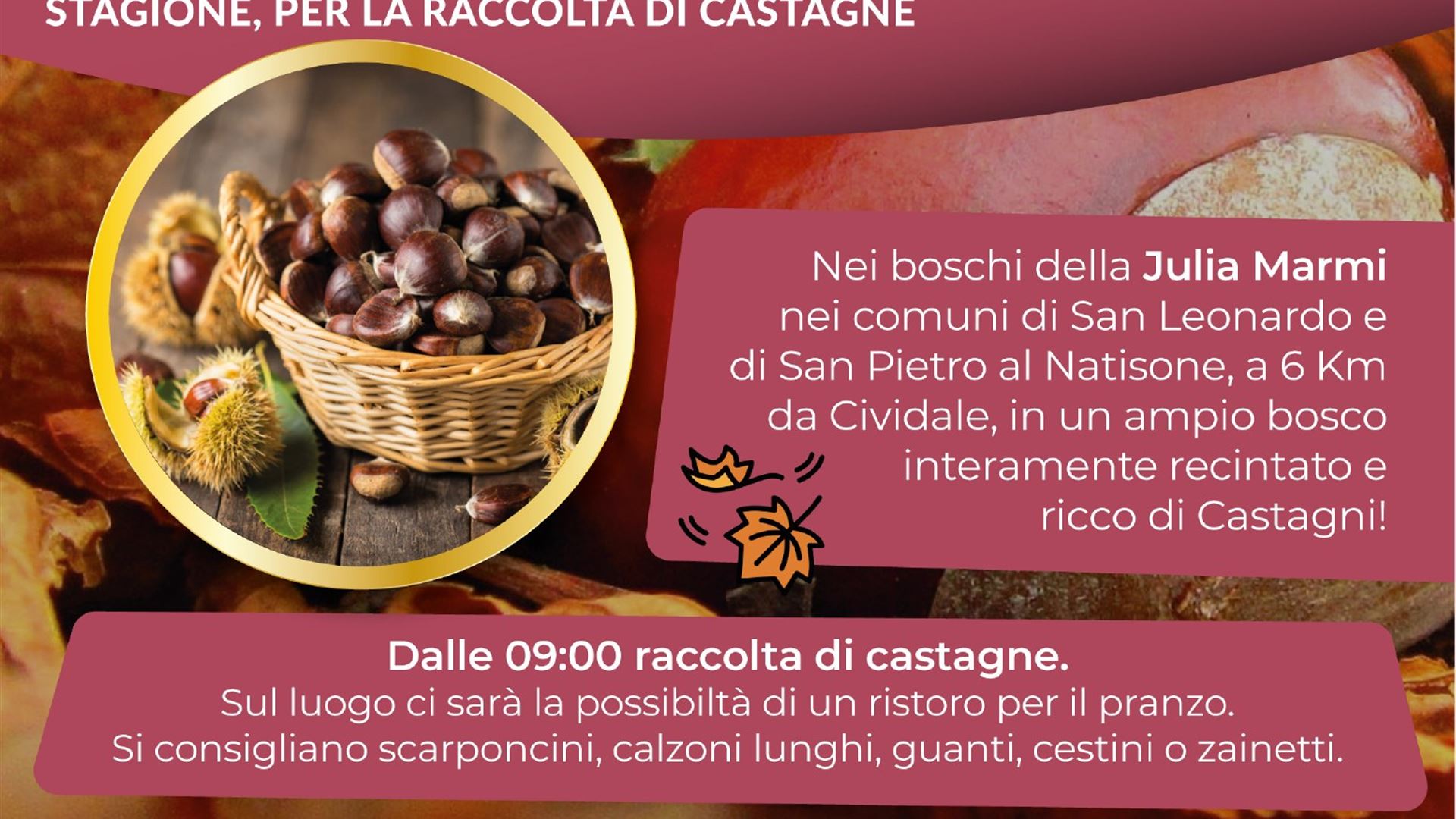 Castagnata nei boschi di Julia Marmi