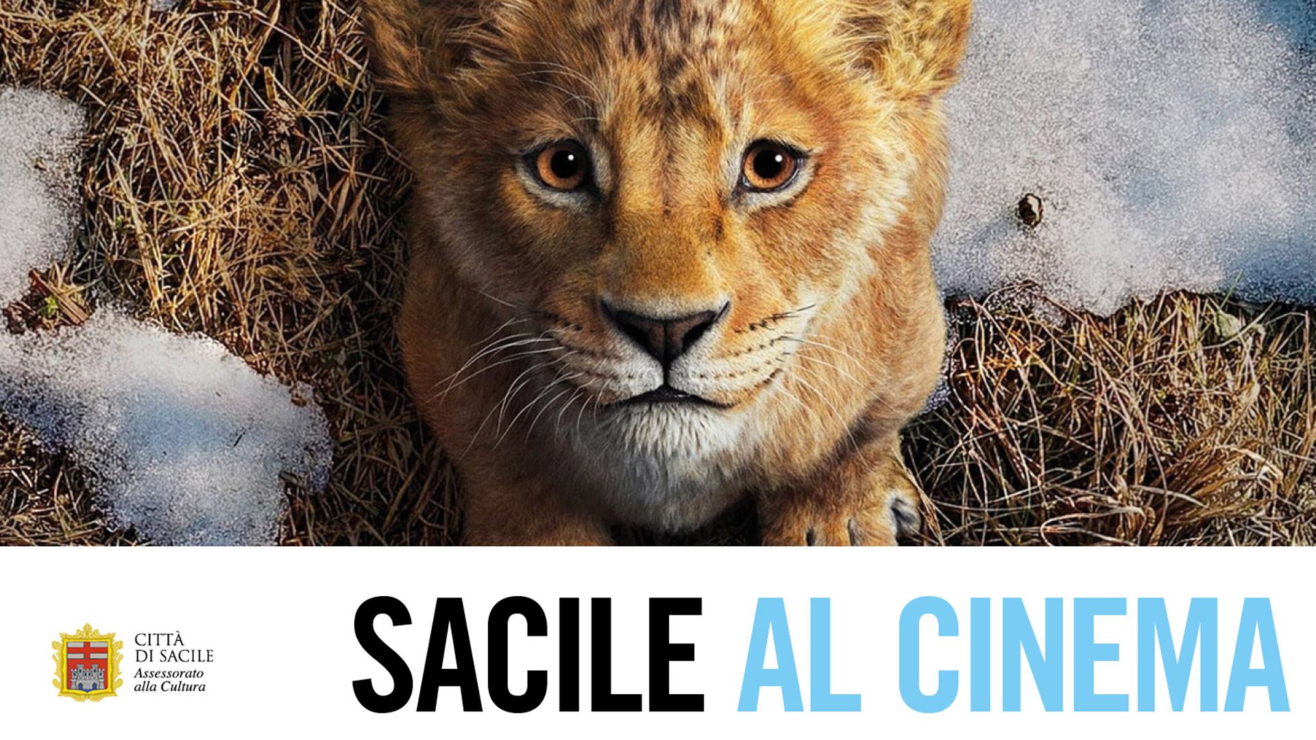 Immagine dell’evento — Sacile al cinema