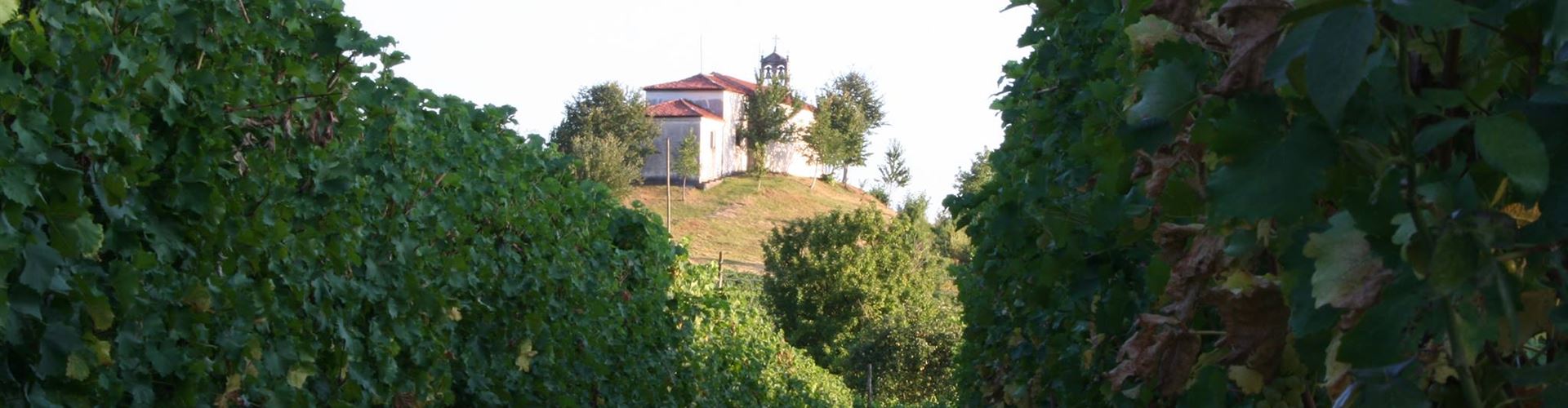 AL RONC FRAGIELIS Prepotto