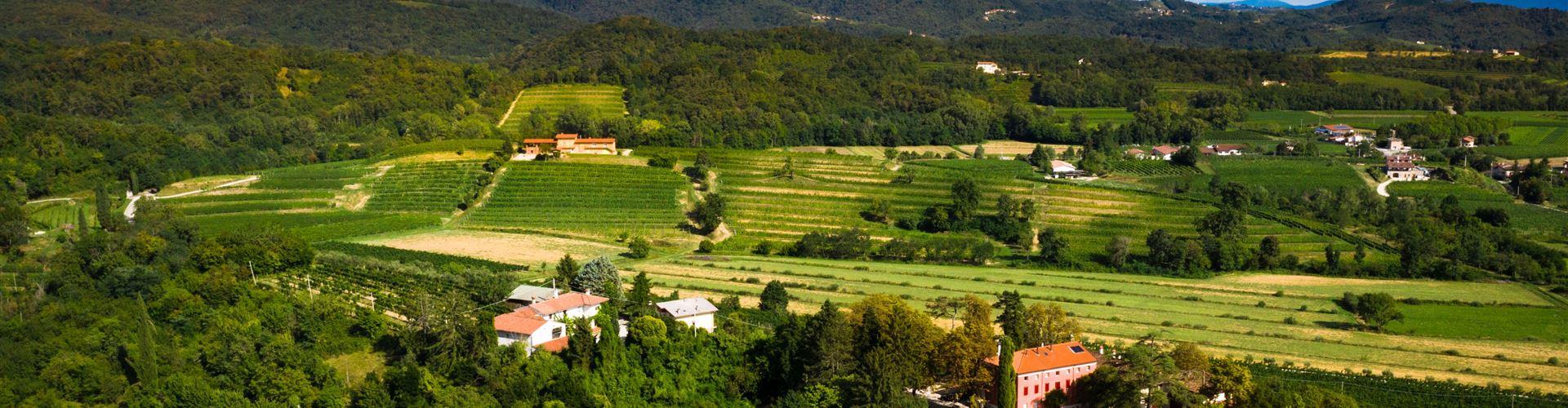 CASALI DEL PICCHIO