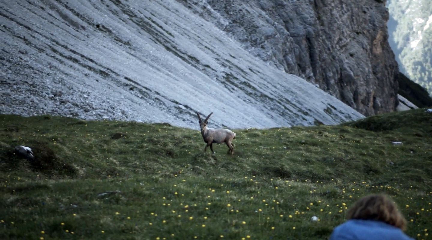 Notte Al Bivacco Perugini Val Montanaia