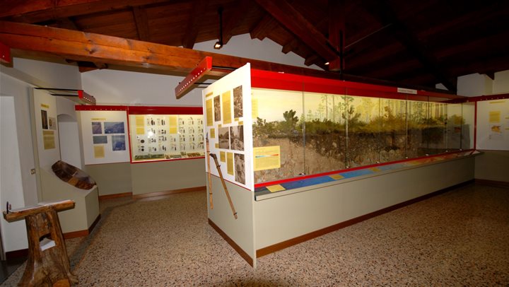 Mostra Permanente Foreste Uomo Economia del FVG - Venzone