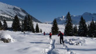 teaser_tag_ciaspolate