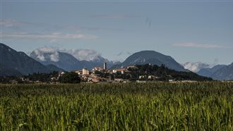 Friuli collinare