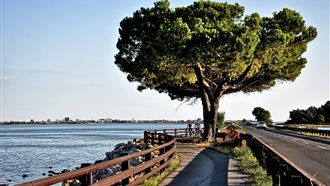 Tour in bici per famiglie: da Bordano a Grado