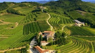 Bike&Wine FVG
