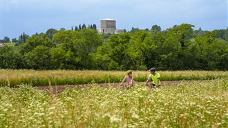 GO! 2025 - Percorso alla scoperta dei luoghi della Grande Guerra