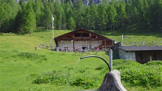 DOLOMITI IN MOVIMENTO tra Natura e Benessere