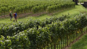 Alpe Adria Trail Top Gourmet nel Collio Friulano