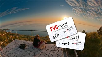 teaser FVGCard