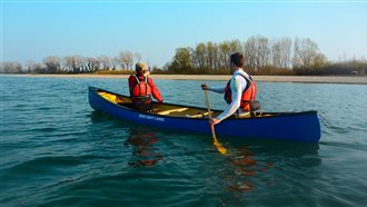 Teaser_Attività sul tagliamento