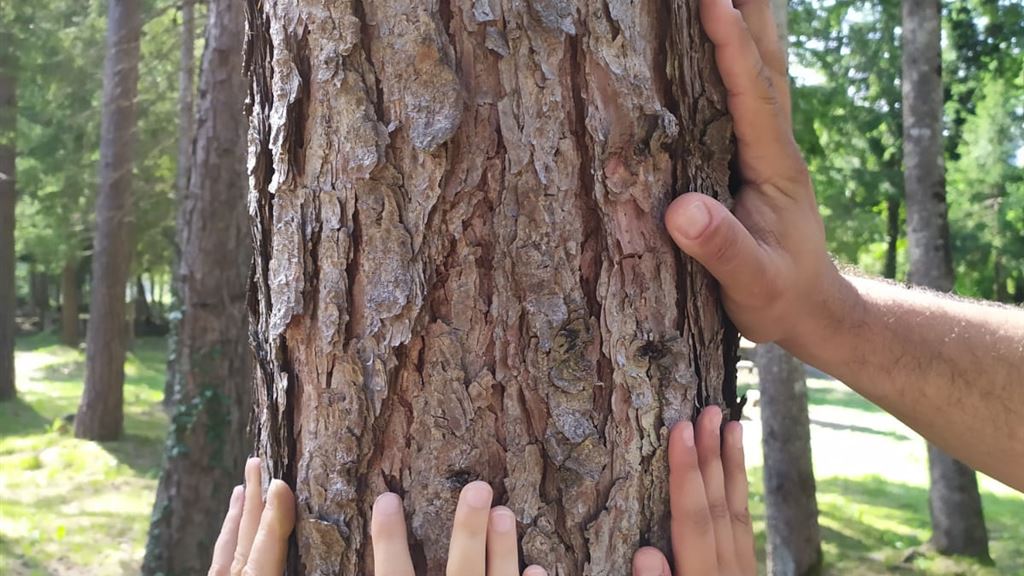Natura senza barriere: passeggiata sensoriale