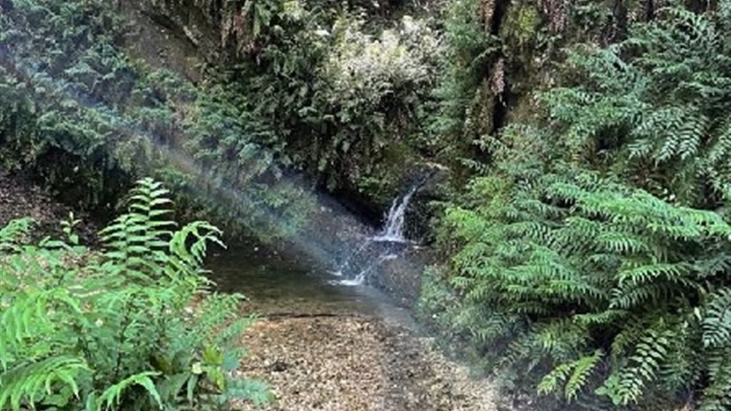Le DoloValli. Troi de Gor