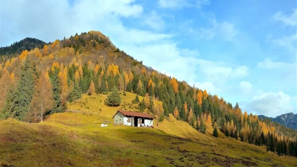 VagoxMonti. Anello del Col De Post tra i colori d'autunno.