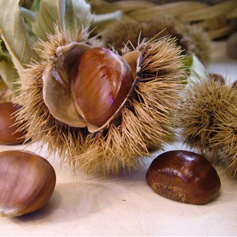 45° Festa delle castagne e del miele di castagno a Valle di Soffumbergo