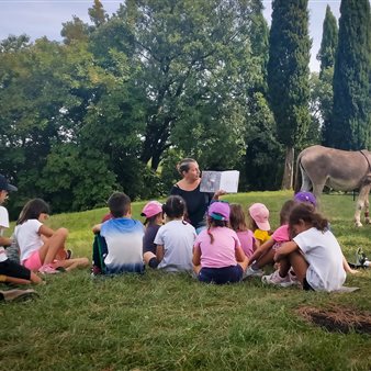 Leggere l'asino