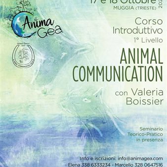 Anima Gea - Corso introduttivo di animal communication di primo livello