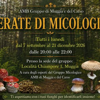 Serate di micologia