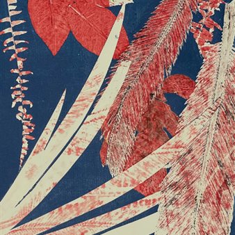 Mostra "Monotipi – Stefano Mancuso"
