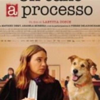 Cinema David: Un cane a processo