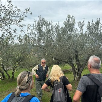 X° Giornata Nazionale “Camminata tra gli Olivi”
