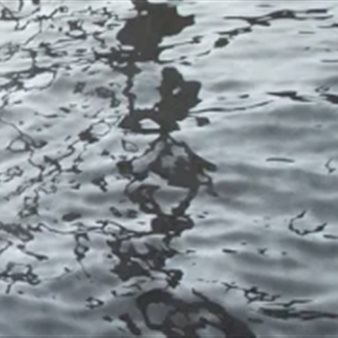 Mostra "Serse - Jingge Dong - Parallel Flows / Flussi Paralleli"