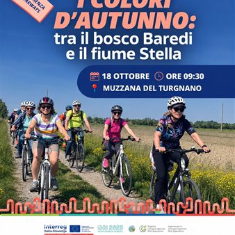 I colori d'autunno: tra il bosco Baredi e il fiume stella
