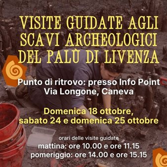 Palù di Livenza: visite guidate agli scavi archeologici