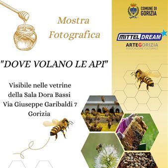 Verde Capitale: “Dove volano le api”
