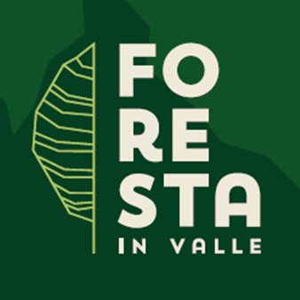 Workshop viabilità forestale - progettazione, realizzazione, gestione tecnica e amministrativa