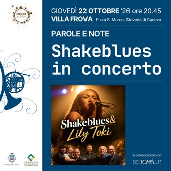 Immagine dell’evento — Shakeblues