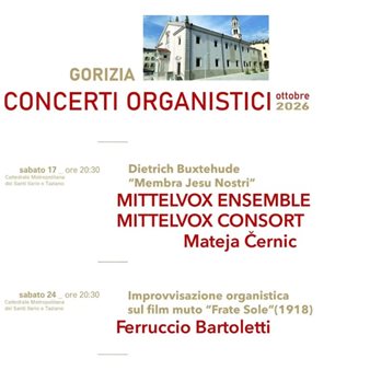 Concerti organistici