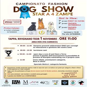 Dog Day - Campionato Fashion Dog Show