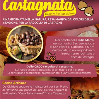 Castagnata nei boschi di Julia Marmi